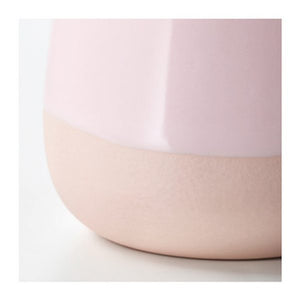 Succulent Plant with Pot in Pink